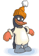 pinguino vestito.gif